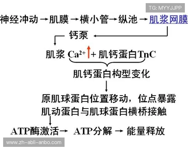 足球训练中的耐力提升与爆发力增强技巧