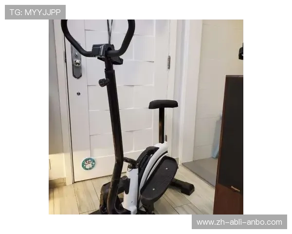 高能训练蜂巢系统大黄蜂多维度健身器械解析